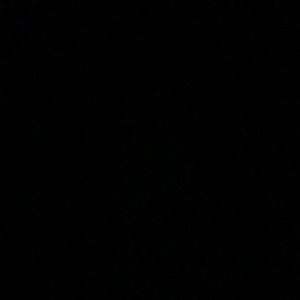 Meet your Posher, Isabel